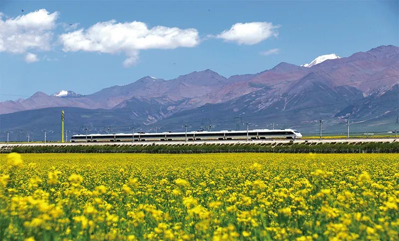 張玉卓、國資、央企、國資委、書記、主任、國企、企業(yè)改革